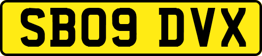 SB09DVX