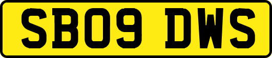 SB09DWS