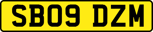 SB09DZM