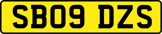 SB09DZS