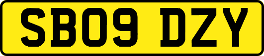 SB09DZY