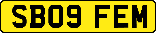 SB09FEM