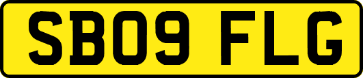 SB09FLG