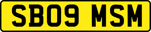 SB09MSM