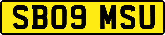SB09MSU