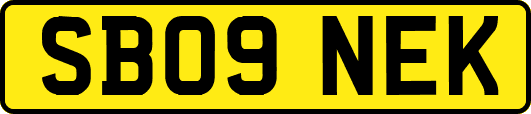 SB09NEK