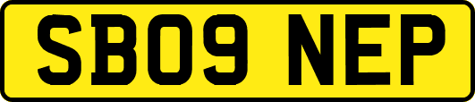 SB09NEP