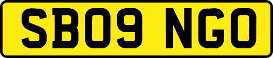 SB09NGO