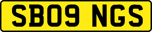 SB09NGS