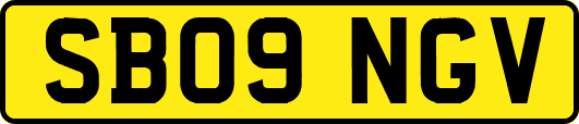 SB09NGV