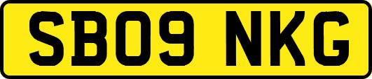 SB09NKG