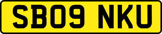 SB09NKU