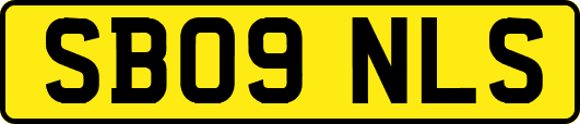 SB09NLS