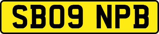 SB09NPB