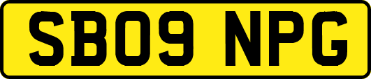 SB09NPG