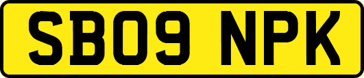 SB09NPK