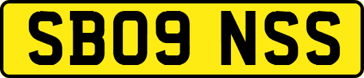 SB09NSS