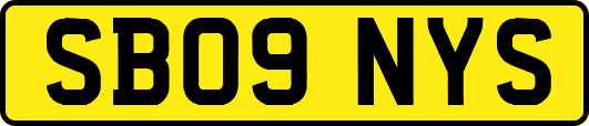 SB09NYS