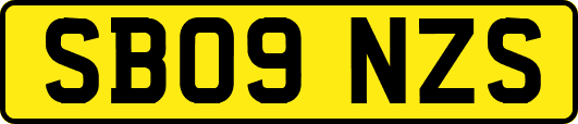 SB09NZS
