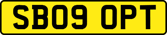 SB09OPT