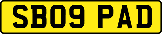 SB09PAD