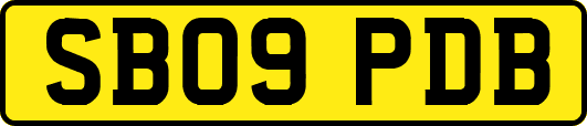 SB09PDB