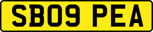 SB09PEA