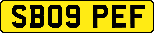 SB09PEF