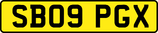SB09PGX