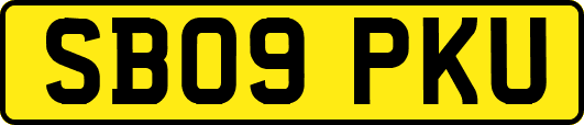 SB09PKU