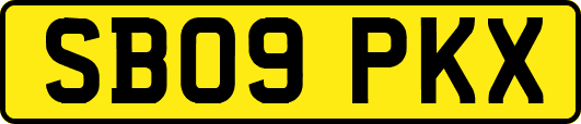 SB09PKX
