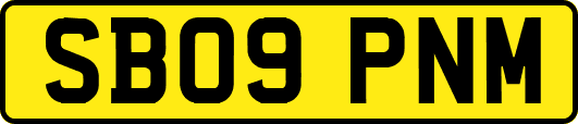 SB09PNM