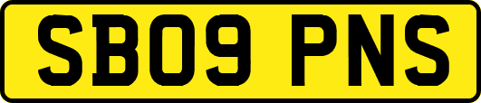 SB09PNS