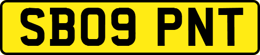 SB09PNT