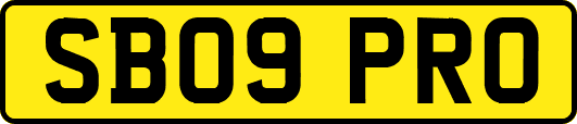 SB09PRO