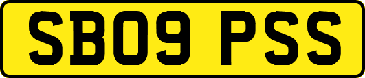 SB09PSS