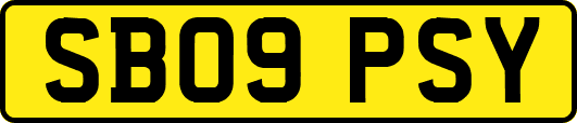 SB09PSY