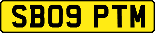 SB09PTM