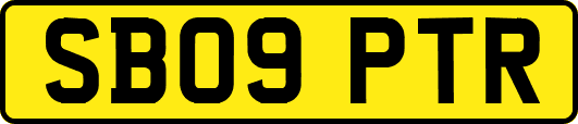 SB09PTR