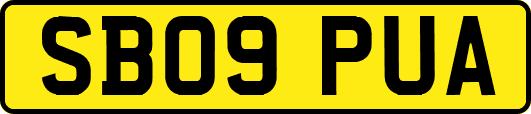 SB09PUA