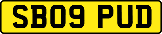 SB09PUD