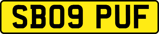SB09PUF