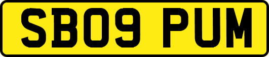 SB09PUM