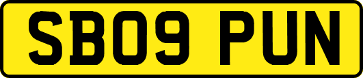 SB09PUN