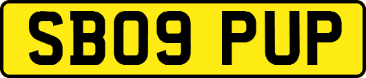 SB09PUP