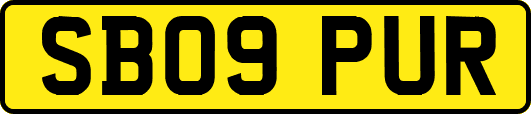 SB09PUR