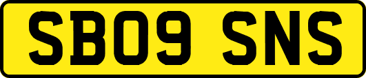SB09SNS