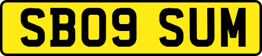 SB09SUM