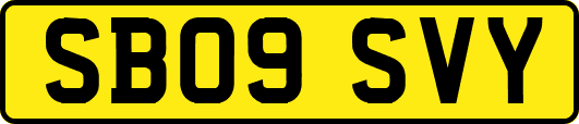 SB09SVY