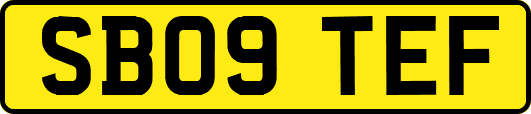 SB09TEF